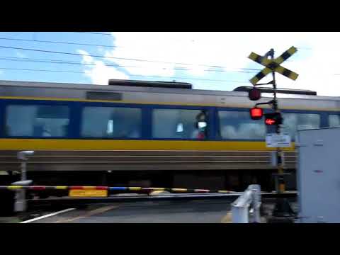 #特急スーパーいなば#キハ181系#岡山から鳥取へ👋吉井川架橋2023年8月29*R