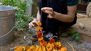 How To Make Marigold Garlands