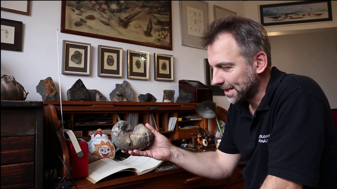 Predátoři pravěkých moří // přednáška Paleontologické sekce SNM