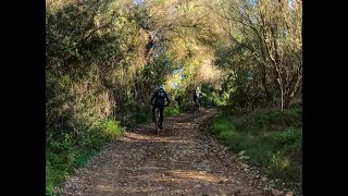 Mallorca MTB - Puig de Ros - Llucmajor - Campos