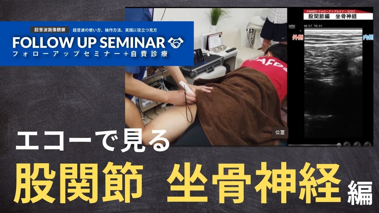 ワイヤレス＋カラードップラー 高画質な超音波画像測定「FAMUBO-D 