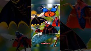 Did You Know? 5 Superhero Facts About Insects That'll Bug You!
