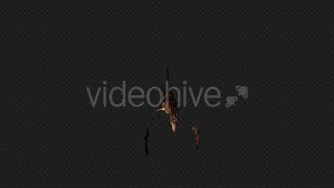 FairyDragon Fly Idle Pack02 4 In 1 | Motion Graphics - Envato elements