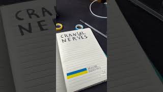 Famous Here’s a fun way to remember the motor and sensory cranial nerves #anatomy Profile