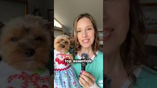 My top three Yorkie puppy essentials! What things could you not live without?