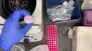 Miniprep Procedure