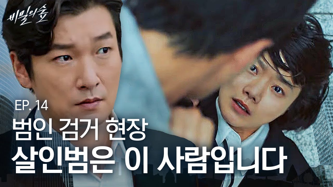 EP14-12 ※최고 명장면※ 도망치는 범인을 검거하기 위해 추격하는 조승우X배두나😱 | 비밀의 숲