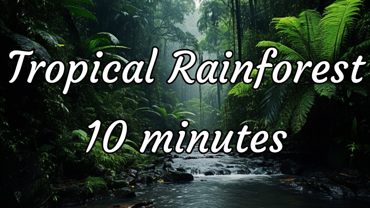 10-Minute Relaxing Tropical Rainforest Sounds & River Sounds For