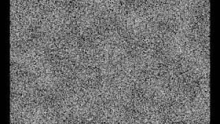 Sony Vegas TV Static