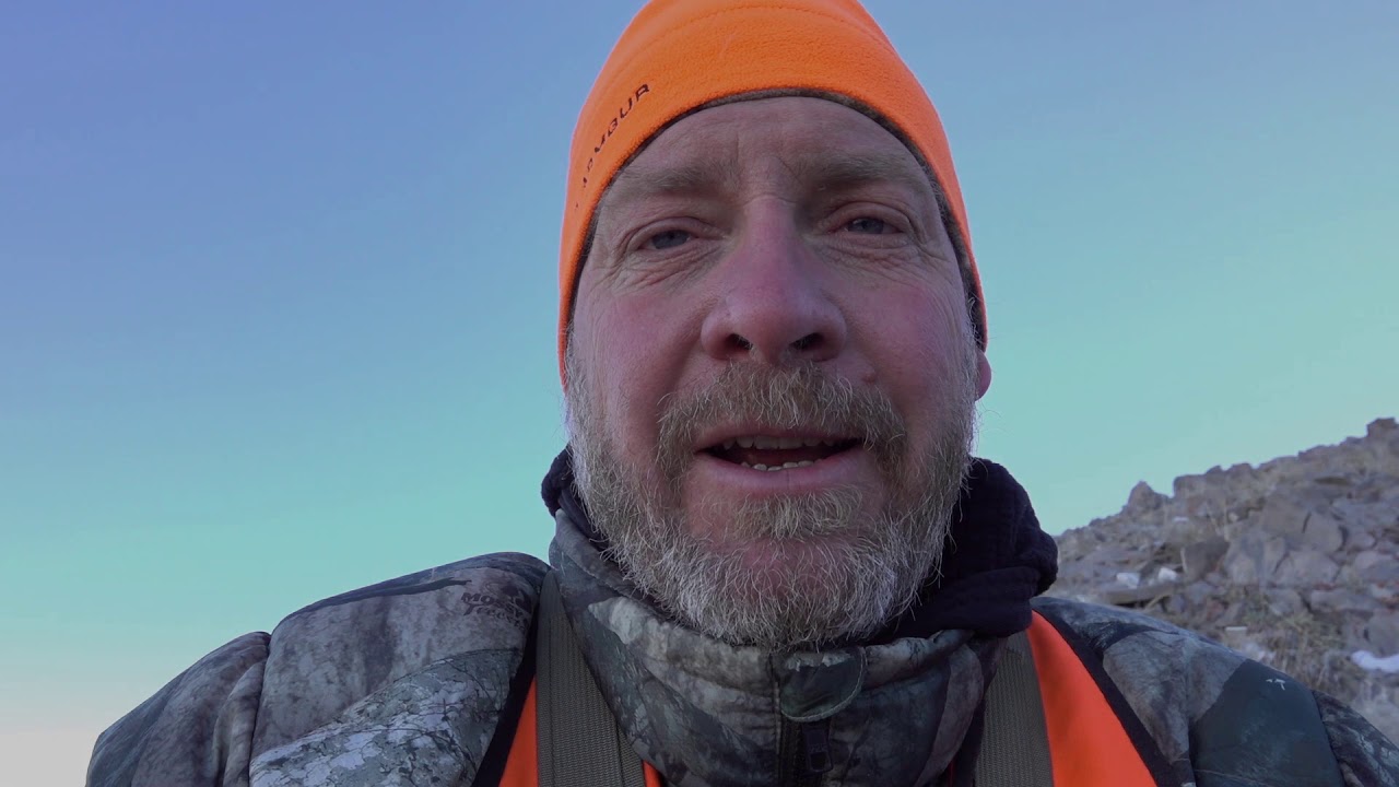 MULE DEER - BIG BUCKS - Highcountry DIY