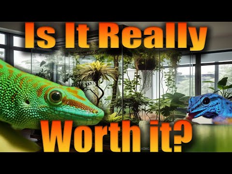 Why You Shouldn't Build A Bioactive Viv