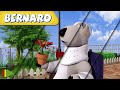 🐻‍❄️ BERNARD  | Collection 27 | Full Episodes | VIDEOS and CARTOONS FOR KIDS