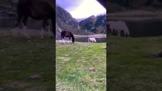 Réveil Bivouac Espingo