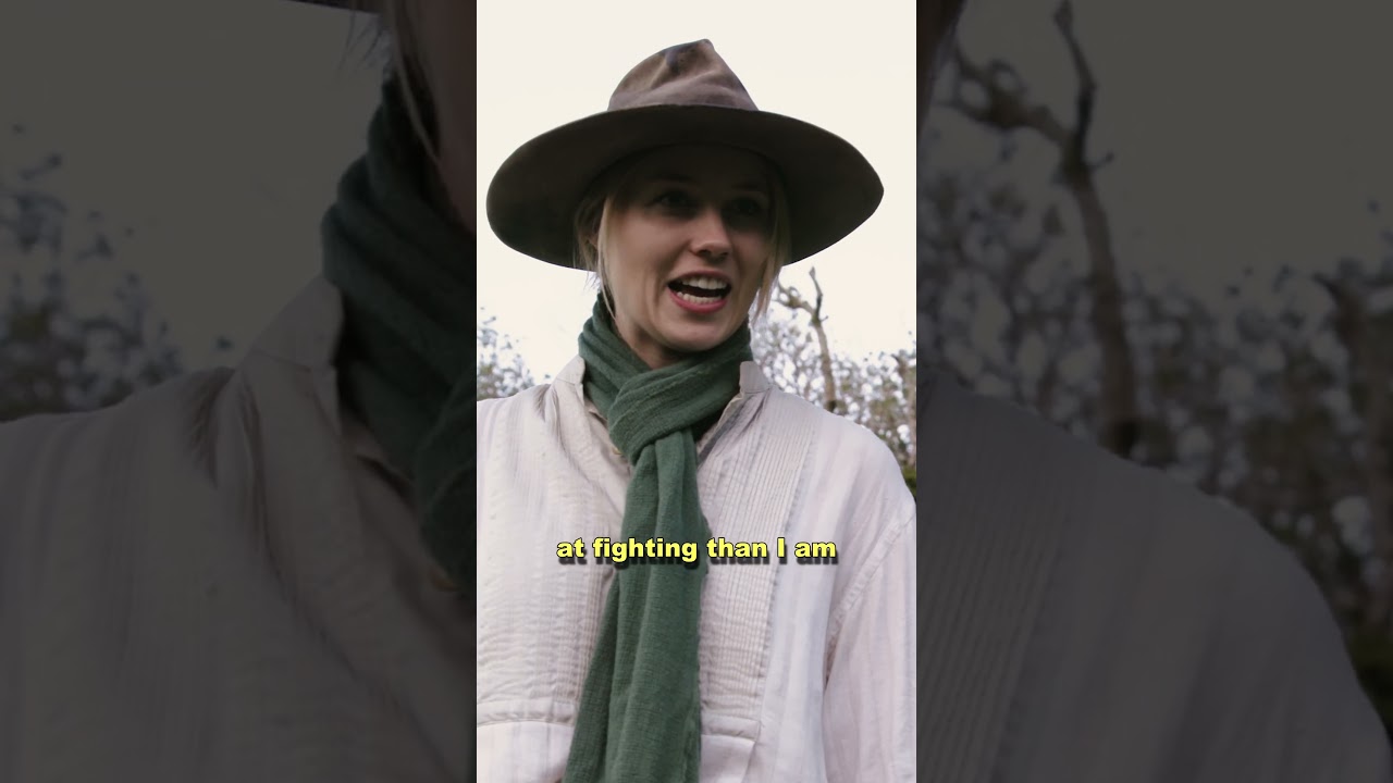 wtf was that first subtitle?