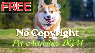 FREE No Copyright Music 🐾 | Dog Walking BGM | Fresh & Rhythmic (Free Download) | For Beginners