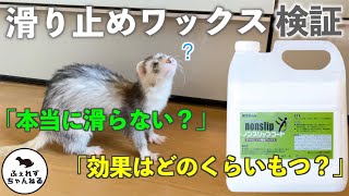 【検証】滑り止めワックスって本当に効果あるの？【フェレット】