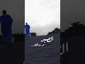 الصبر مثل اسمه مر مذاقته لكن عواقبه أحلى من العسل