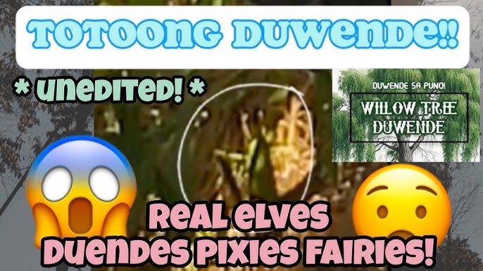 real elf caught on camera! duwende duende hulicam! sighting no. 22 #shorts  #elf #elves #pixie 