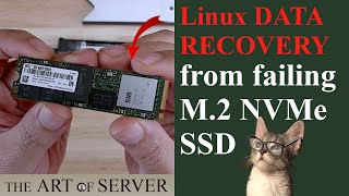 Linux Data Recovery from failing M.2 NVMe SSD | LVM XFS dd_rescue losetup kpartx