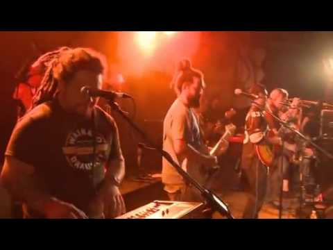 NZ Reggae - Darky Roots - Only You (Video) - YouTube