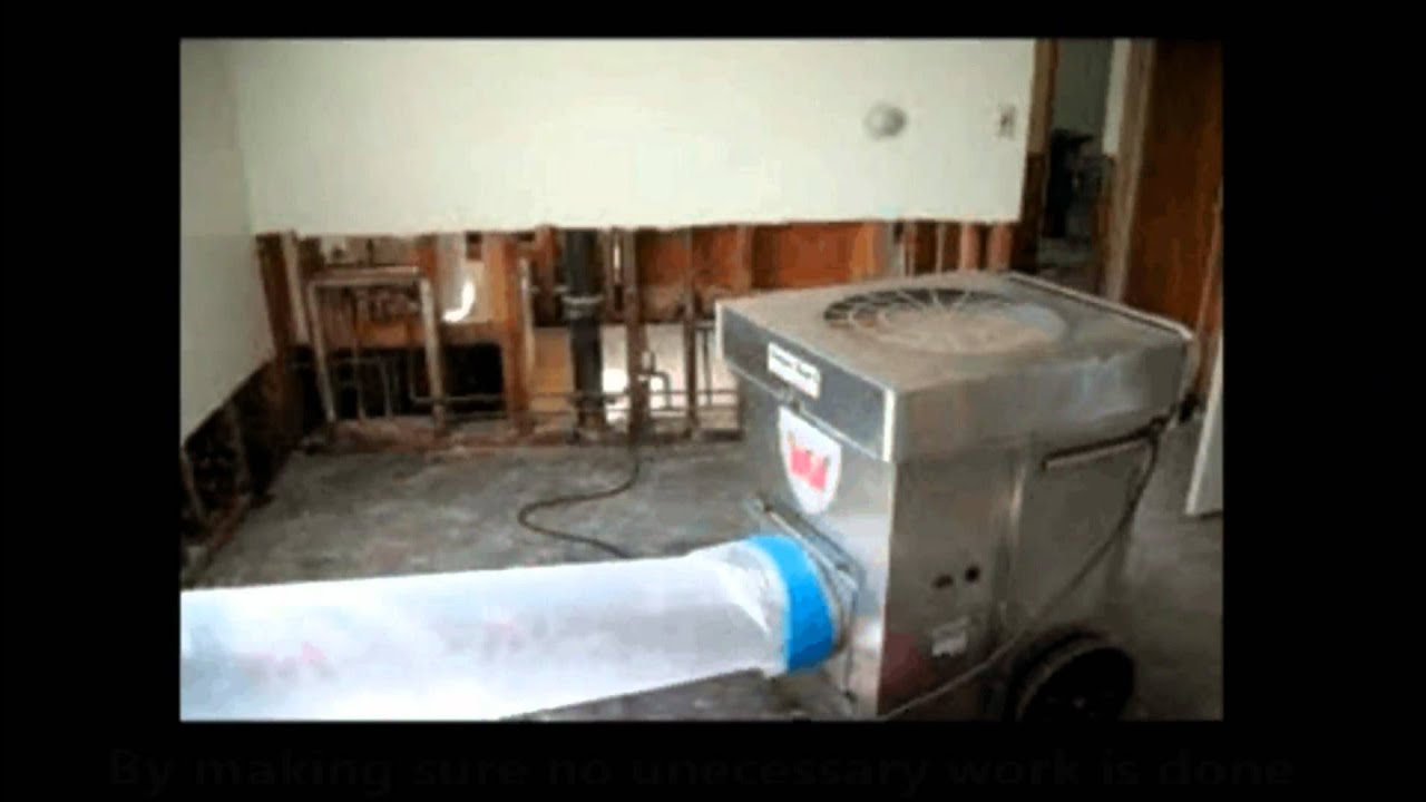 Chicago Mold Removal
