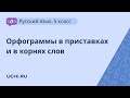 Русский язык 5 класс: орфограммы в приставках и в корнях слов