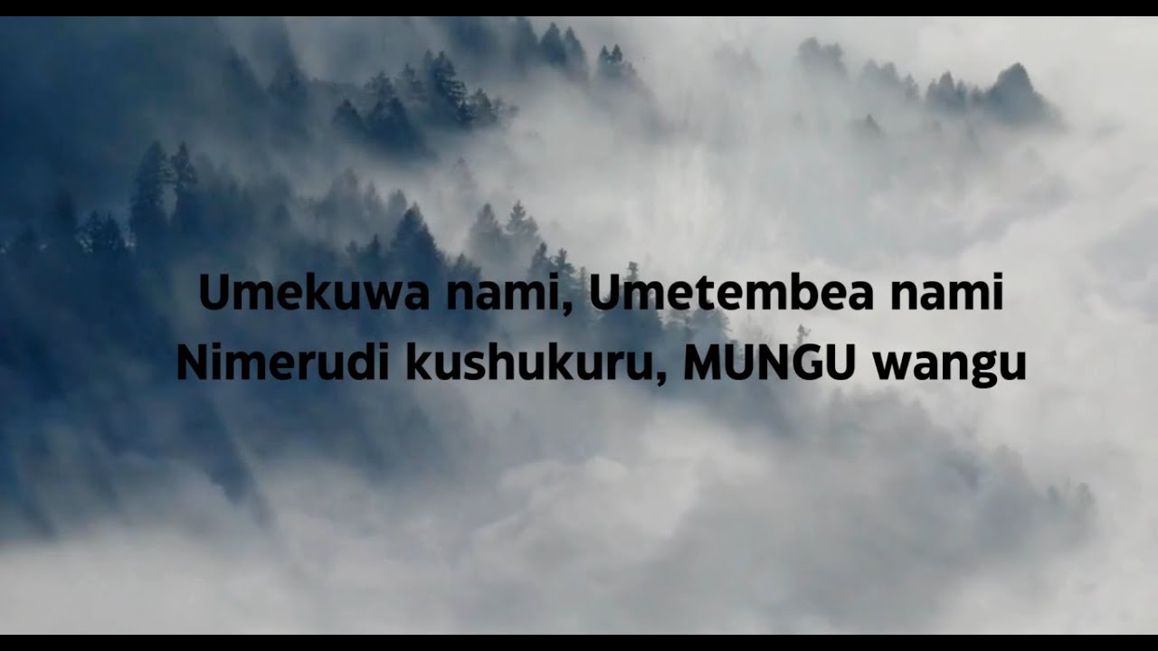 Dr Ipyana | Umekuwa nami unatembea nami nimerudi kushukuru | Lyrics Video
