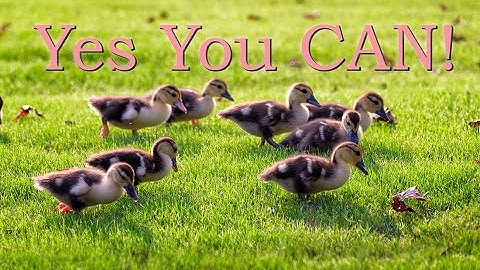 How to Use One Lightroom Mobile Catalog on Two Computers