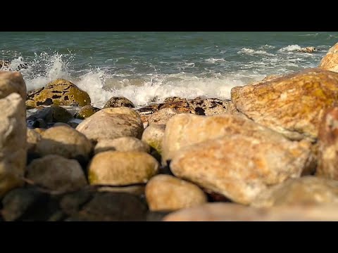 ASMR Relaxe ao som Natural da natureza | Som Relaxante para Dormir