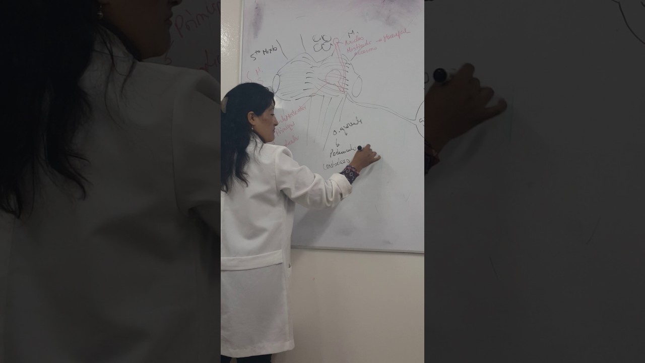 Pares craneales - V par - Trigemino (Parte 1) camera iphone 8 plus apk