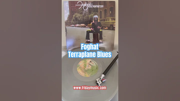 Video 11333551: british blue, lovely british