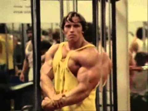 Bodybuilding Motivation Arnold Schwarzenegger 