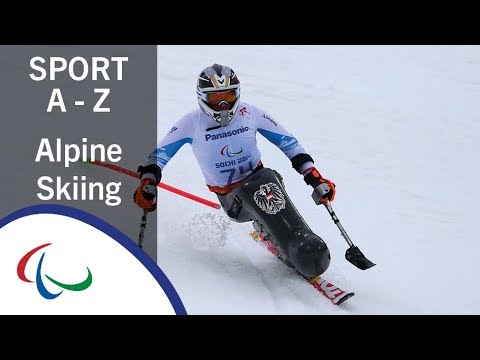 Sports of the Paralympic Winter Games: Para Alpine Skiing
