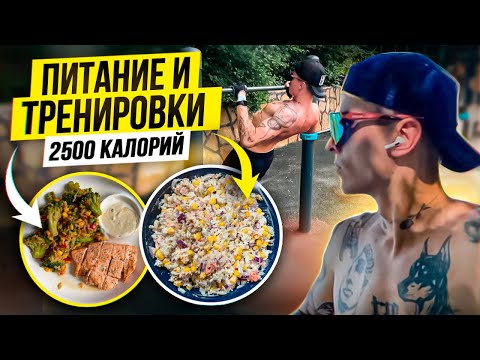 Питание И Тренировки | День Из Жизни | 2500 Калорий