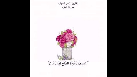 سورة البقره آية 186 بصوت القارئ أنس الشهاب