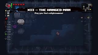 The Binding of Isaac All magdalene Completion Marks