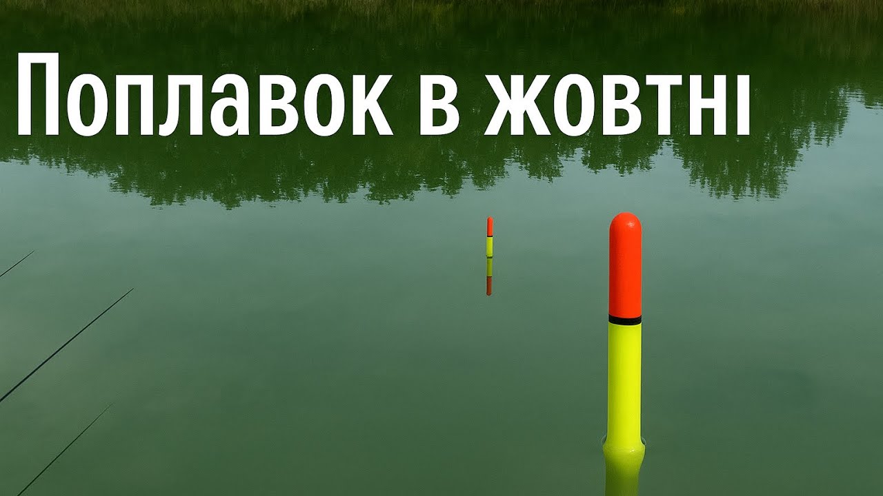 Залікова риболовля на тісто Херабуна.Поплавок в жовтні . #дозариболовлі #риболовля #поплавок 