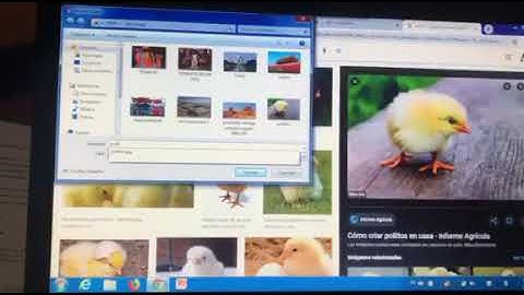Còmo insertar una imagen en Socrative  Tercera parte