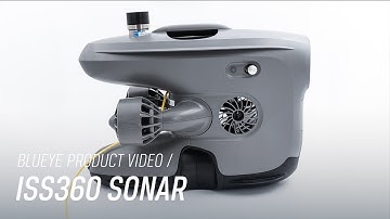Diving with an ISS360 imaging sonar | Blueye X3
