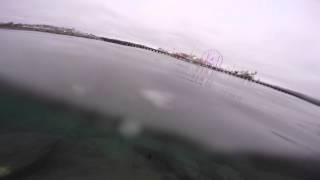 Del Mar Fair 2015 Underwater