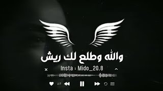 حالات واتس اب - راشد الماجد - والله وطلع لك ريش