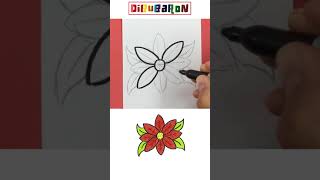 Drawing and Coloring a poinsettia plant for christmas