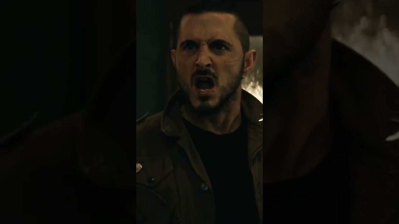 Frenchie Surprises Everyone And Stands Up To Butcher 