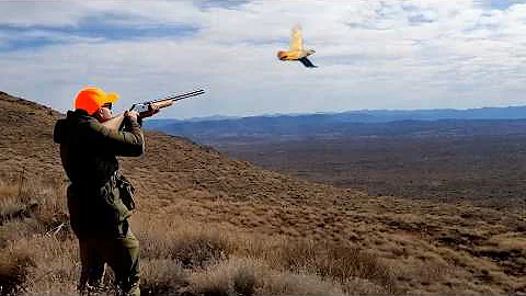 Hunting Partridges and Hares Season 2024/2025 PART 5 -KHEMISSET -TIZITIN