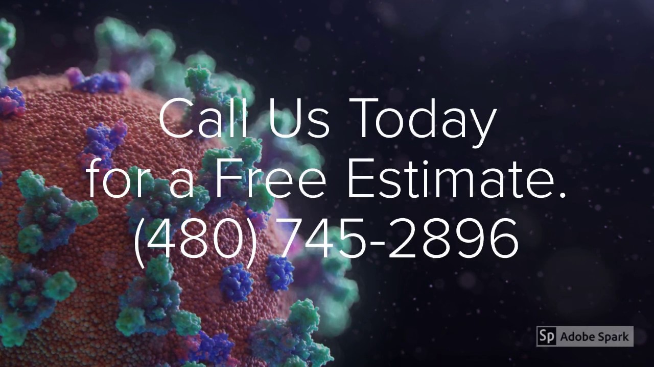 Professional Home Cleaners Deep Cleaning and Disinfecting Services