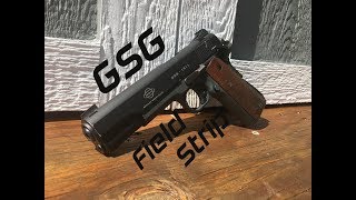 GSG 1911 Field Strip
