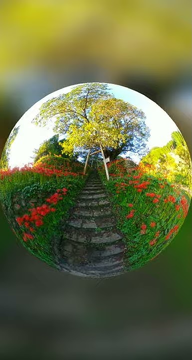 Nan Nan Back Skip Navigation Search Search Sign In Fireworksviewers Fireworksviewers 7 94k Subscribers Subscribe Home Videos Playlists Community Channels About Search Info Shopping Tap To Unmute If Playback Doesn T Begin Shortly