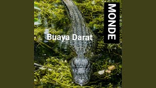 Download lagu Buaya Darat (Remastered 2024)