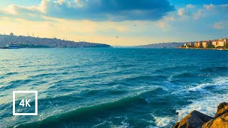 Fishing by the Bosphorus – Istanbul Sea & City ASMR Sounds screenshot 4