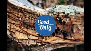 Halal Beats - Fallen